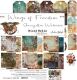 CCL Paper Pack 12"x12" - Wings of Freedom
