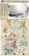 CCL Paper Pack 6"x12" - Junk Journal Set Lost in Time