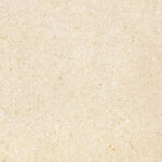 FDC Paper Pack 8x8" - Where Beauty lives