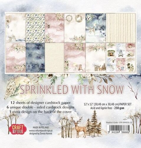 CYD Paper Pack 12x12" - Sprinkled with Snow