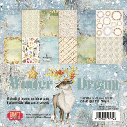 CYD Paper Pack 12x12" - Winter Dream