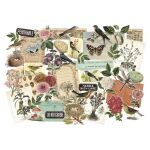 THZ Tim Holtz Ephemera - Idea-Ology Layers Die Cuts Organic