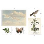 THZ Tim Holtz Ephemera - Idea-Ology Layers Die Cuts Organic