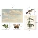 THZ Tim Holtz Ephemera - Idea-Ology Layers Die Cuts Organic