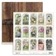 UHK Paper Pack 12x12" - Cottage Girl