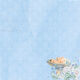 FDC Paper Pack 12x12" - Shabby Baby Boy Re-Design