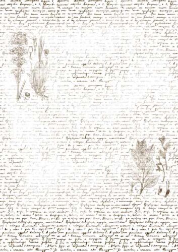 FDC Overlay A4 - Text with Herbarium