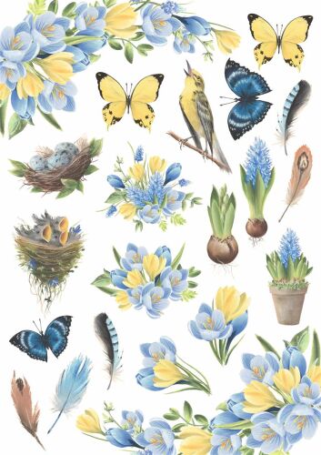 FDC Overlay A4 - Botany Spring