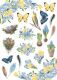 FDC Overlay A4 - Botany Spring