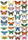 FDC Overlay A4 - Colorful Butterflies