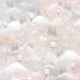 CBL Paper Pad 12x12" - Dreamland Patterns 8BL