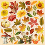FDC Paper Pack 8x8" - Bright Autumn