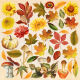 FDC Paper Pack 8x8" - Bright Autumn