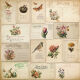 FDC Paper Pack 8x8" - Spring Botanical Story