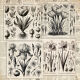 FDC Paper Pack 8x8" - Spring Botanical Story