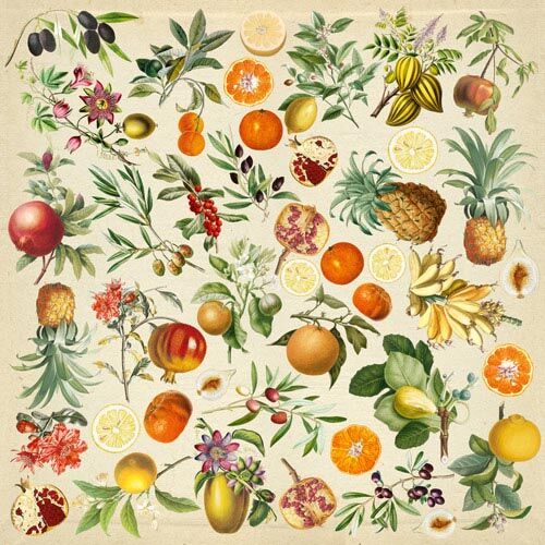 FDC Cut-Out Sheet 12"x12" - Exotic Fruits