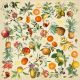 FDC Cut-Out Sheet 12"x12" - Exotic Fruits