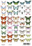 FDC Cut-Out Sheet A4 - Butterflies 1