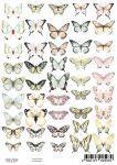 FDC Cut-Out Sheet A4 - Butterflies