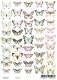 FDC Cut-Out Sheet A4 - Butterflies