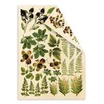 FDC Cut-Out Sheet Set - Botany Summer