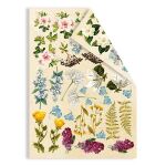 FDC Cut-Out Sheet Set - Botany Summer