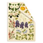 FDC Cut-Out Sheet Set - Botany Summer