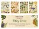 FDC Cut-Out Sheet Set - Botany Summer