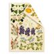FDC Cut-Out Sheet Set - Botany Summer