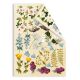 FDC Cut-Out Sheet Set - Botany Summer