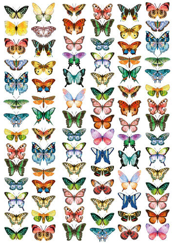 FDC Overlay A4 - Butterflies Mini