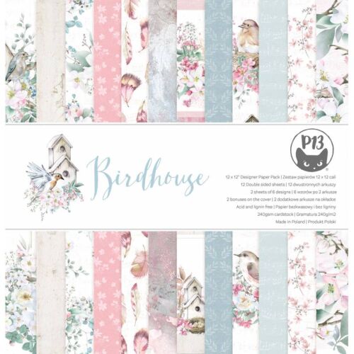 P13 Paper Pad 12x12" - Birdhouse