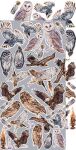 CCL Paper Pack 12"x12" - Velvet Dreams Starter Kit