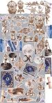 CCL Paper Pack 12"x12" - Velvet Dreams Starter Kit
