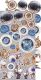 CCL Paper Pack 12"x12" - Velvet Dreams Starter Kit