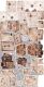 CCL Paper Pack 12"x12" - Velvet Dreams Starter Kit