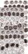 CCL Paper Pack 12"x12" - Velvet Dreams Starter Kit