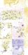 CCL Paper Pack 6"x12" - Junk Journal Set Summer Flowers
