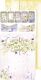 CCL Paper Pack 6"x12" - Junk Journal Set Summer Flowers