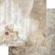 AAL Paper Pack 8x8" - Natural Beauty