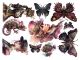 AAL Paper Pack 8x8" - Steampunk Dream