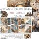 CCL Paper Pack 8"x8" - Mists of Toolbox Town