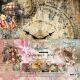 AAL Paper Pack 12x12" - Steampunk Time