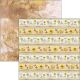 CBL Paper Pad 12x12" - Farmhouse Garden 12BL