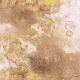 CBL Paper Pad 12x12" - Farmhouse Garden 12BL