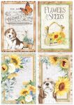 CBL Paper Pad A4 - Farmhouse Garden Creative Pad