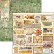 CBL Paper Pad 12x12" - Into the Wild 12BL