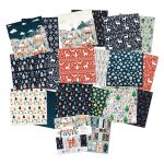 TNC Paper Pack 12x12" - A Very Festive Fayre