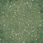 CBL Paper Pad 12x12" - Christmas Vibes 12BL