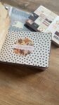 SRH Limited Edition - Oktober 2025 Flip Book & Amber Moon